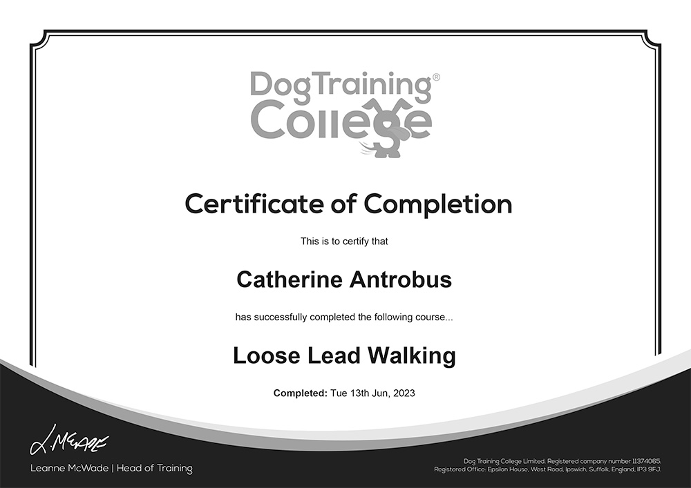 Loose-Lead-Walking-Certificate-of-Completion